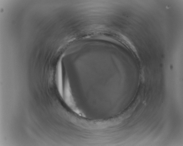 X0000070250018200606232019