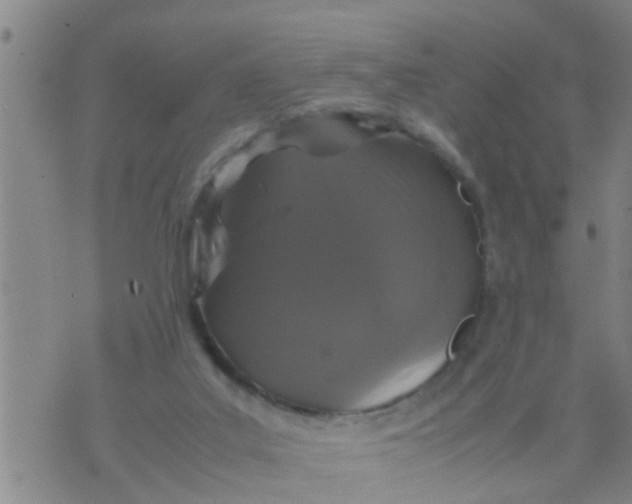 X0000070250019200606232019