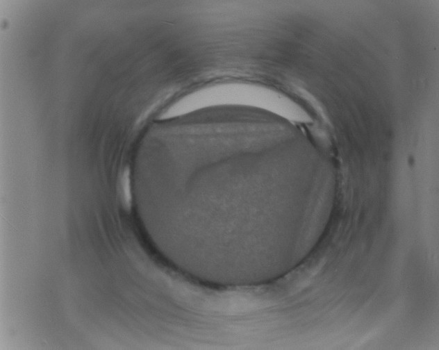 X0000070250020200606232019