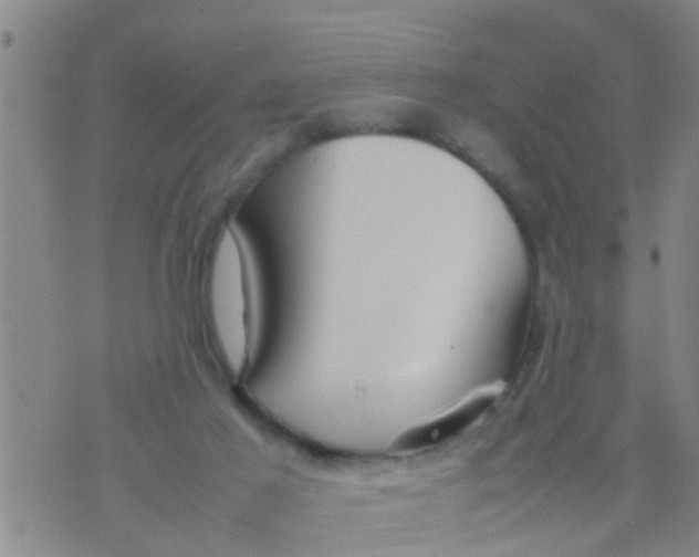 X0000070250021200606232019