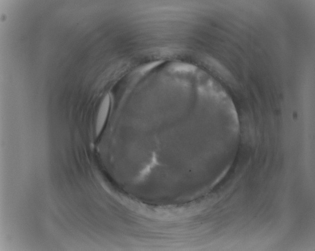 X0000070250022200606232019