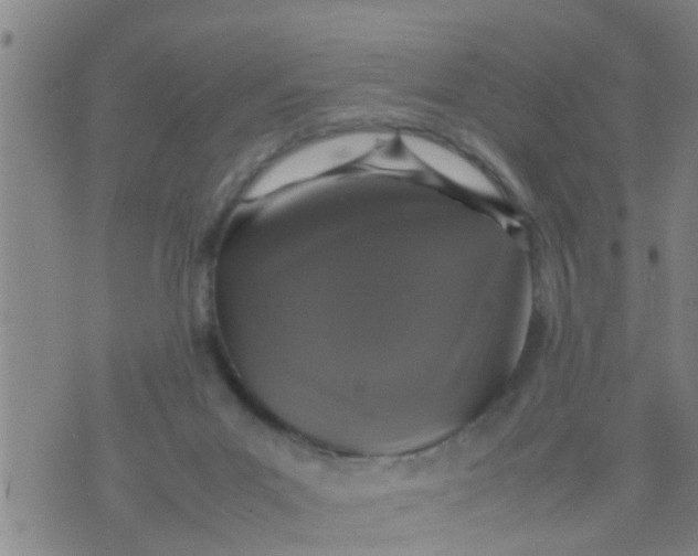 X0000070250023200606232019