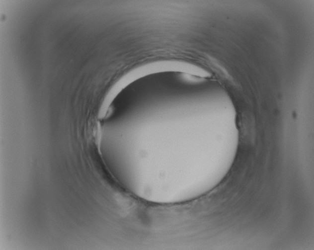 X0000070250025200606232019