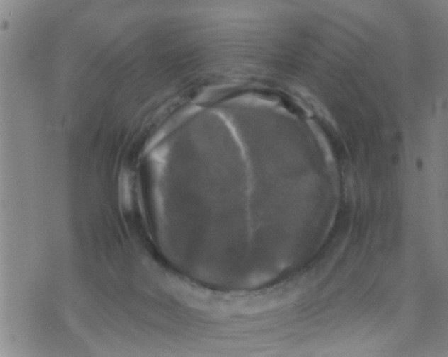 X0000070250026200606232019