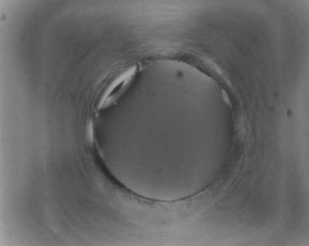 X0000070250027200606232019