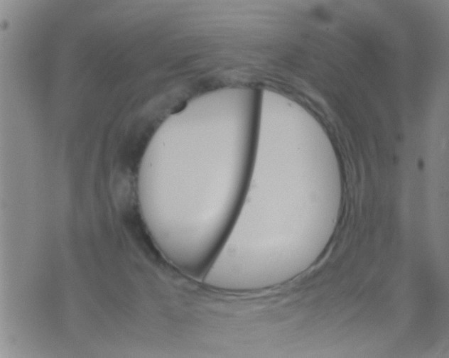 X0000070250029200606232019