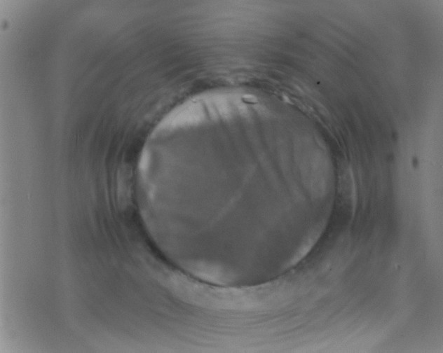 X0000070250030200606232019