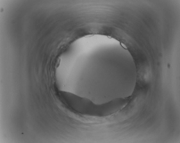 X0000070250031200606232019