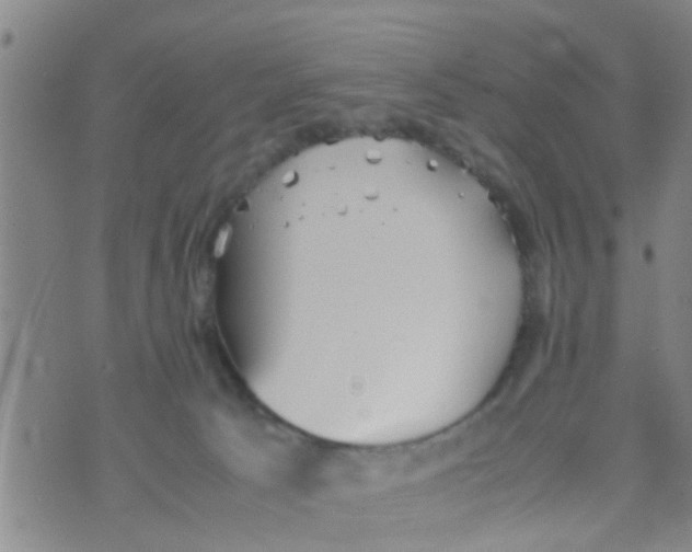 X0000070250033200606232019