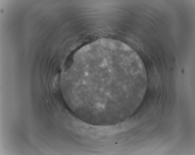 X0000070250034200606232019