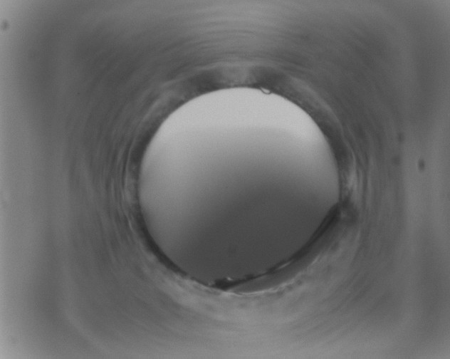 X0000070250035200606232019