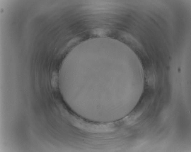 X0000070250036200606232019