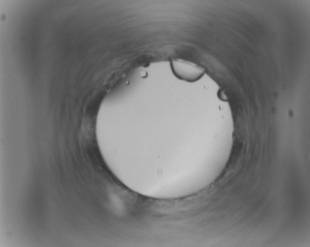 X0000070250037200606232019