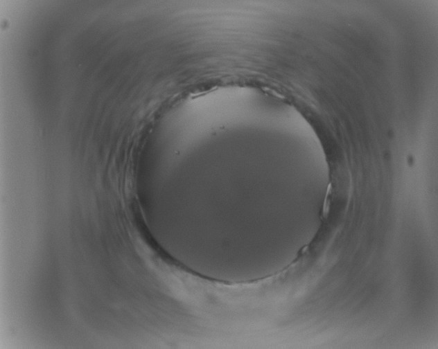 X0000070250039200606232019