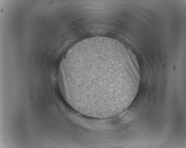 X0000070250040200606232019