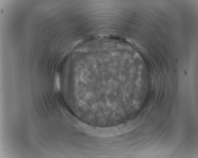 X0000070250042200606232019