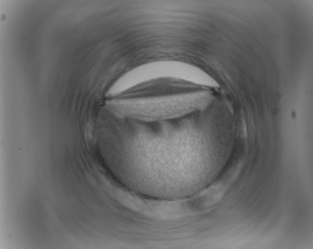 X0000070250044200606232019