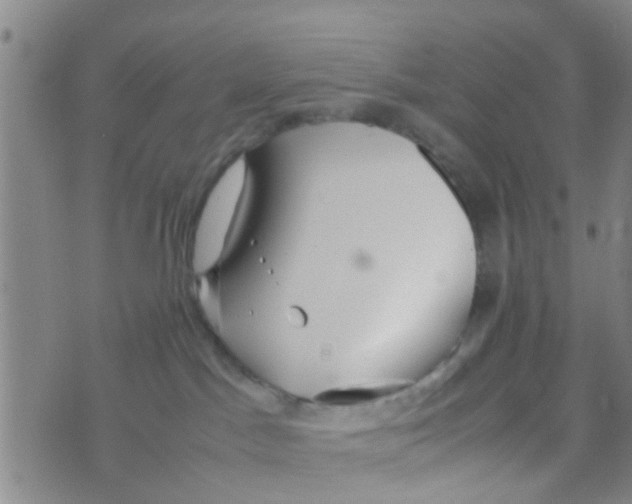 X0000070250045200606232019