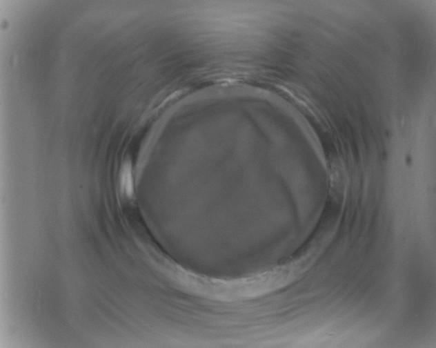 X0000070250046200606232019