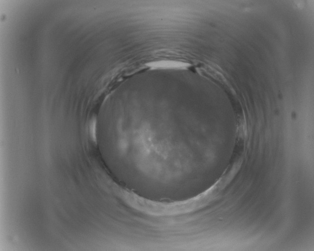 X0000070250047200606232019