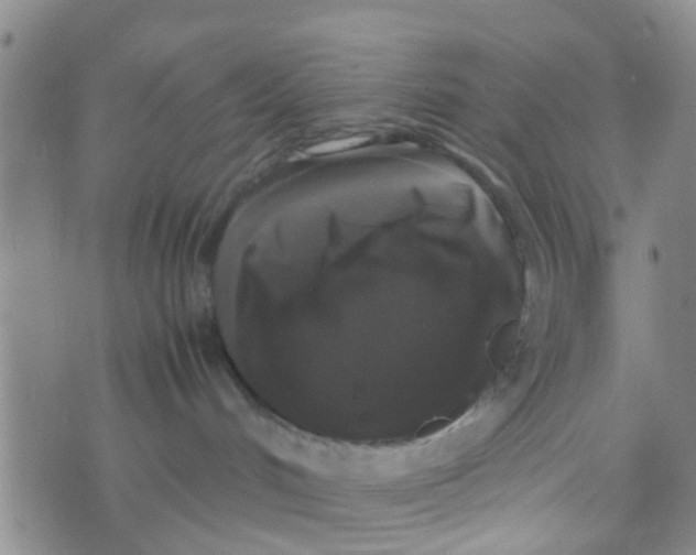 X0000070250048200606232019