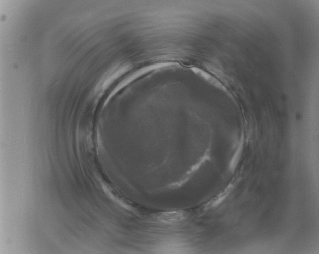 X0000070250050200606232018