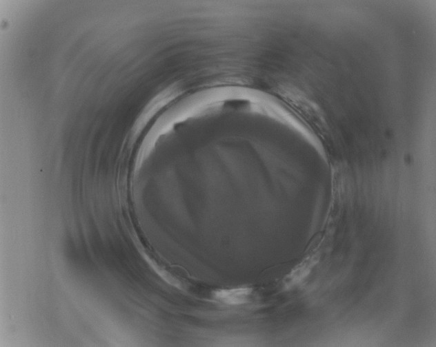 X0000070250051200606232018