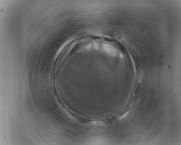 X0000070250052200606232018