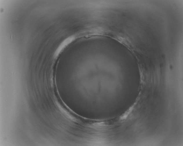 X0000070250054200606232018