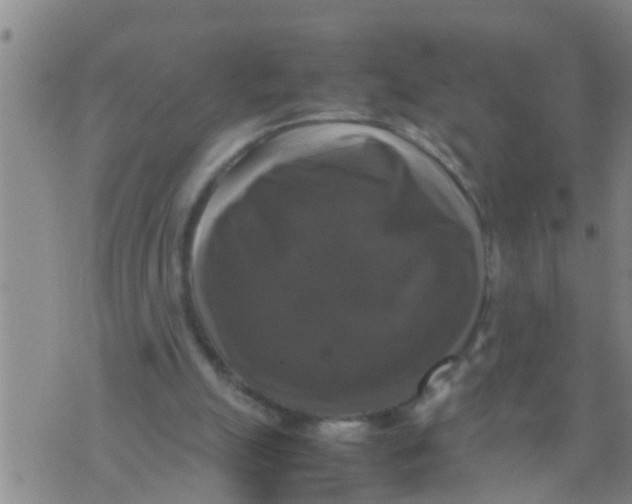 X0000070250055200606232018