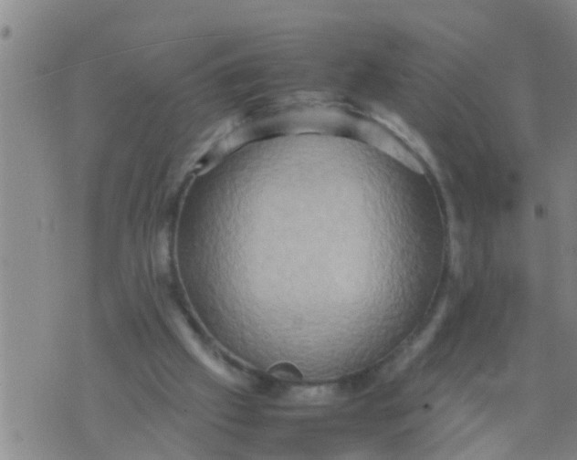 X0000070250057200606232018