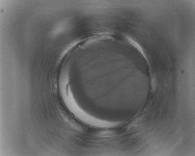 X0000070250059200606232018