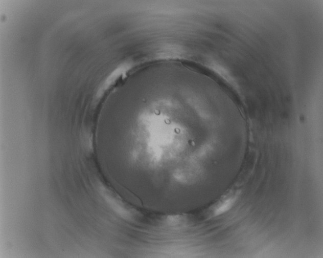 X0000070250060200606232018