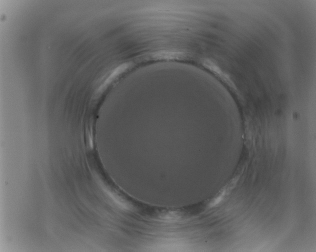 X0000070250062200606232018