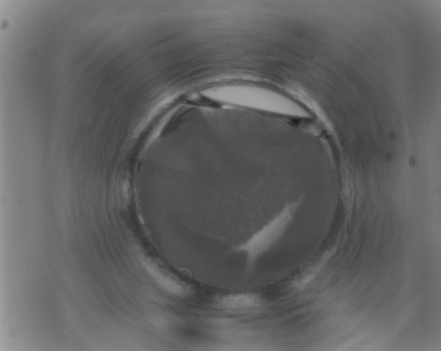 X0000070250063200606232018