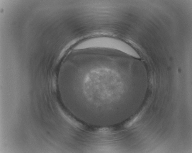 X0000070250064200606232018