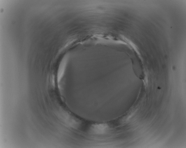 X0000070250067200606232018