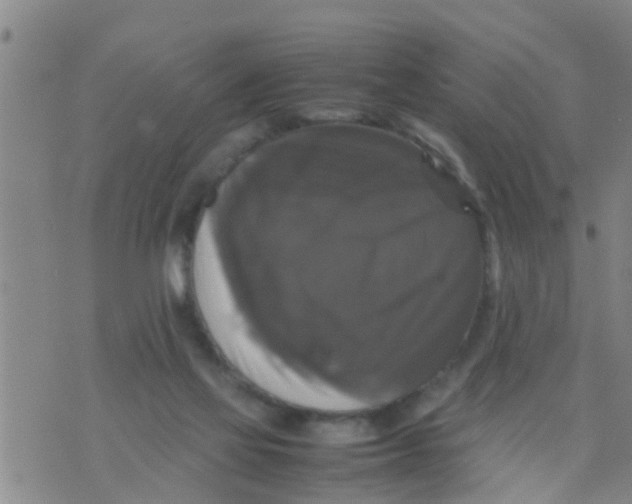 X0000070250069200606232018