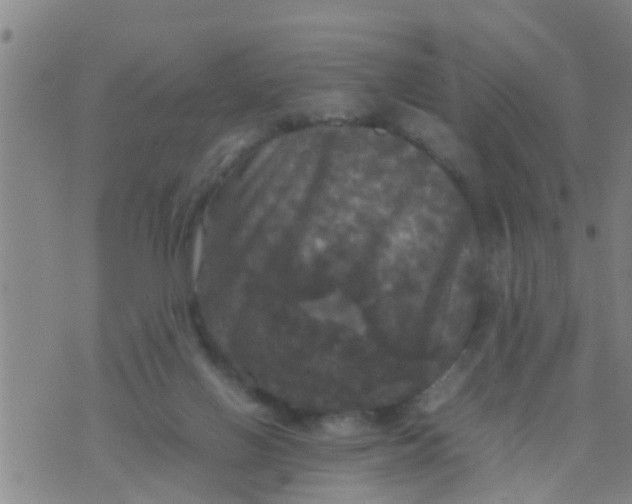 X0000070250070200606232018