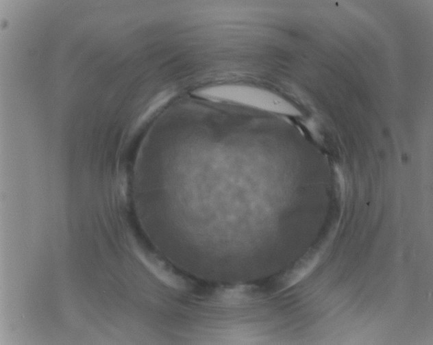 X0000070250072200606232018