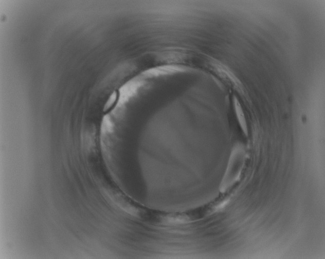 X0000070250073200606232018