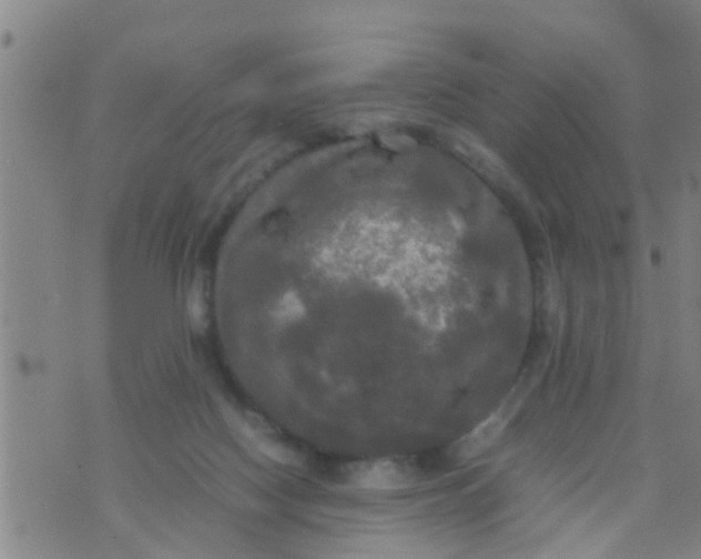 X0000070250074200606232018