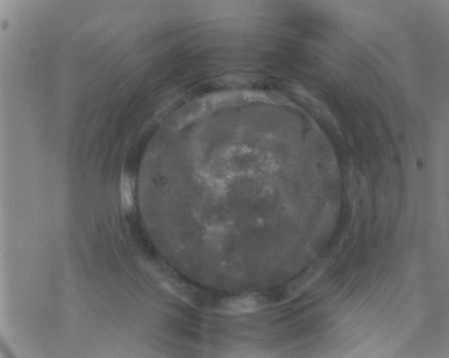 X0000070250075200606232018