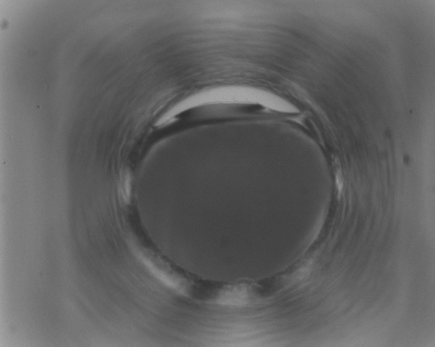 X0000070250076200606232018