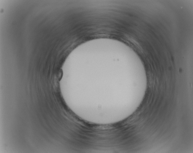 X0000070250077200606232018