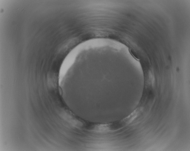 X0000070250078200606232018