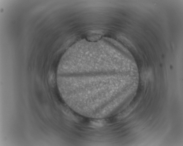 X0000070250079200606232018