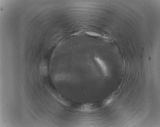 X0000070250080200606232018