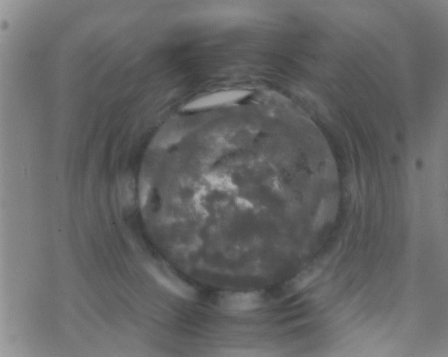 X0000070250081200606232018