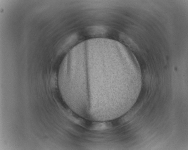 X0000070250083200606232018